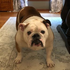 Meet your Posher, Sabrina